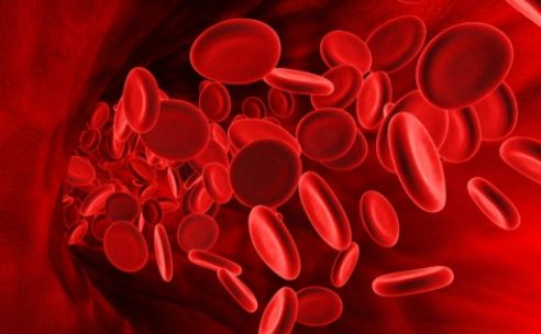 Result Laboratorium rode bloedcellen