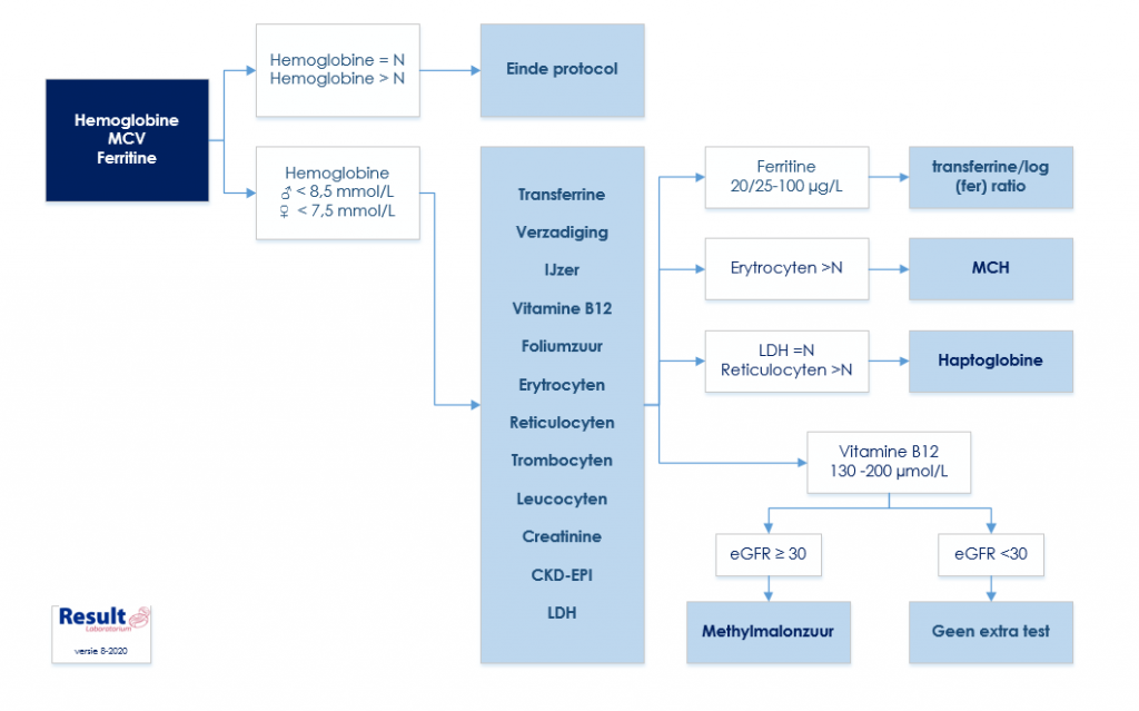 Anemie Protocol Doortesten Bij Verlaagd Hb